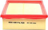 BSG BSG 30-135-004 - Воздушный фильтр, двигатель www.biturbo.by