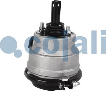Cojali 2851407 - Комбинированный цилиндр гидравл. тормозного привод www.biturbo.by