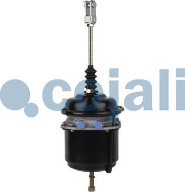 Cojali 2251408 - Тормозной цилиндр с пружинным энергоаккумулятором www.biturbo.by