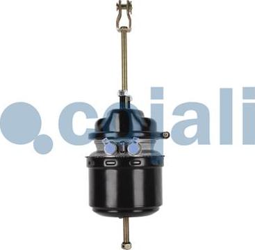 Cojali 2251530 - Тормозной цилиндр с пружинным энергоаккумулятором www.biturbo.by