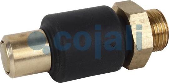 Cojali 2280107 - Клапан предохранительный пневмосистемы www.biturbo.by
