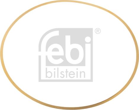 Febi Bilstein 49541 - Прокладка, гильза цилиндра www.biturbo.by