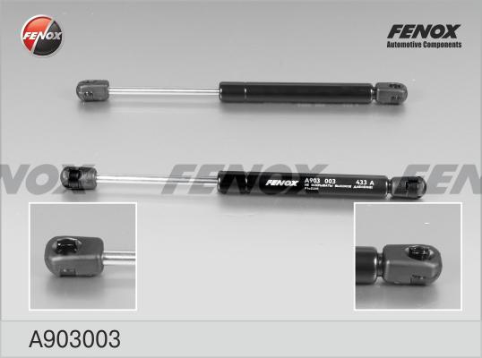 Fenox A903003 - Газовая пружина, упор www.biturbo.by