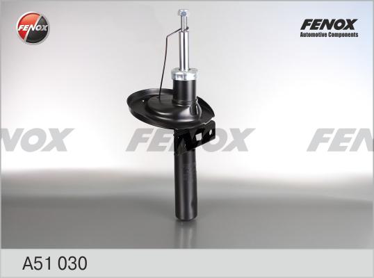 Fenox A51030 - Амортизатор www.biturbo.by