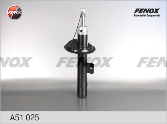 Fenox A51025 - Амортизатор www.biturbo.by
