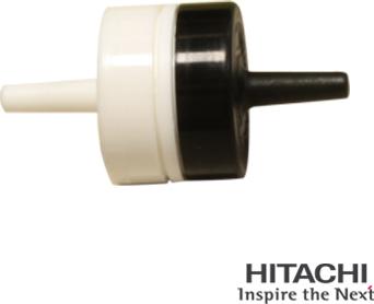 Hitachi 2509317 - Обратный клапан www.biturbo.by