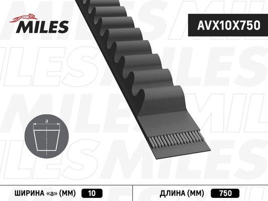 Miles AVX10X750 - Клиновой ремень, поперечные рёбра www.biturbo.by