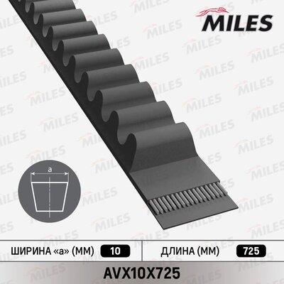 Miles AVX10X725 - Клиновой ремень, поперечные рёбра www.biturbo.by
