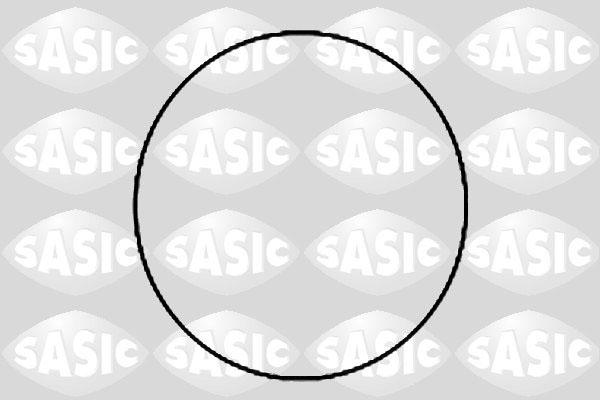 Sasic 1120780 - Комплект прокладок, гильза цилиндра www.biturbo.by