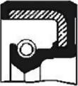 SKT 040149 - Уплотняющее кольцо, ступенчатая коробка передач www.biturbo.by