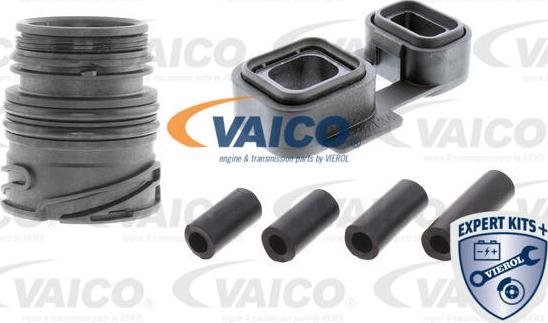 VAICO V20-3770-XXL - Комплект прокладок, автоматическая коробка www.biturbo.by