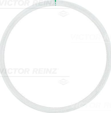 Victor Reinz 61-25315-10 - Прокладка, головка цилиндра www.biturbo.by