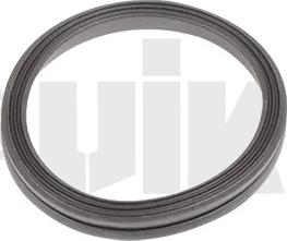 Vika 11031825701 - Прокладка, крышка картера рулевого механизма www.biturbo.by